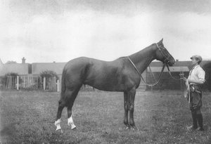 La Fortune du Mont Prospect, 1911 - Unbekannt