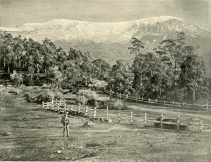 Mont Wellington, depuis la route de Huon, 1901 - Unbekannt