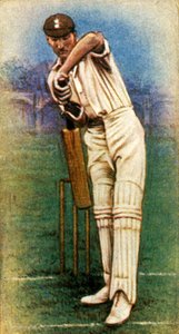 M. D. R. Jardine Surrey, 1928