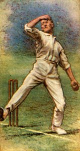 M. J. C. White Somerset, 1928
