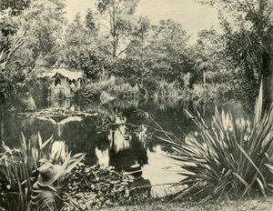Les jardins de M. Ryan, Mount Macedon, Victoria, 1901 - Unbekannt