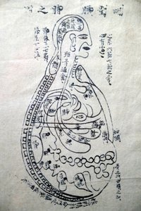 Musée de la médecine traditionnelle vietnamienne, Les canaux et vaisseaux, Livre d
