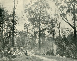 Sports indigènes, lac Tyers - Unbekannt