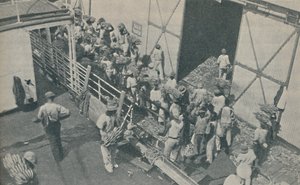 Autochtones chargeant des bananes à Kingston, Jamaïque, chantent des psaumes écossais, 1937 - Unbekannt