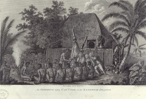 Indigènes des îles Sandwich, Hawaï, abattant des porcs devant le capitaine Cook, vers 1778