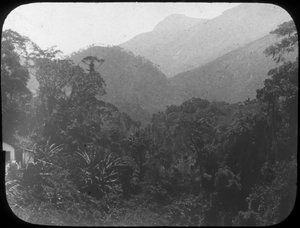 Près de Petrópolis, Rio de Janeiro, Brésil, fin du 19e ou début du 20e siècle - Unbekannt