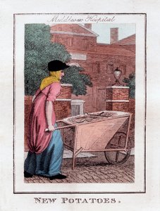 Nouvelles pommes de terre, hôpital de Middlesex, Londres, 1805 - Unbekannt