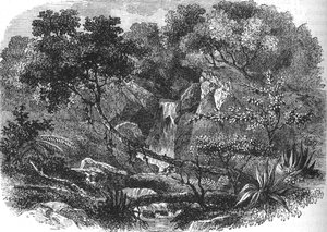Paysage de Nouvelle-Zélande, vers 1880 - Unbekannt