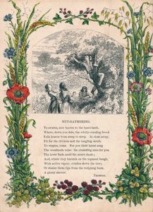 Récolte de noix, par Thomson, vers 1900 - Unbekannt