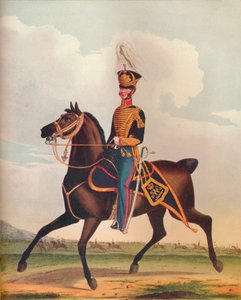 Officier de la brigade d