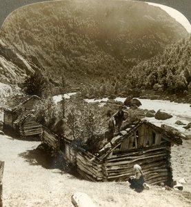 Vieilles maisons en rondins à Bratslandsdal, avec des arbres poussant sur des toits recouverts de gazon, Norvège, vers 1905 - Unbekannt