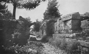 Olympie - Entrée du terrain d