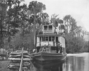 Sur la rivière Ocklawaha, Floride, USA, vers 1900 - Unbekannt