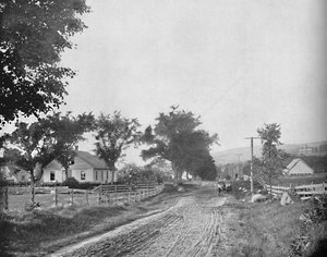 Sur la route du lac Echo, Montagnes Blanches, New Hampshire, vers 1897 - Unbekannt