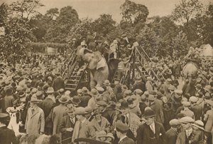 Un des signes de notre civilisation : Jardins zoologiques bien garnis pour ravir les curieux, c193 - Unbekannt
