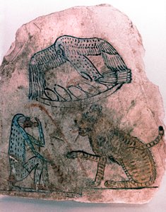 Fragment d