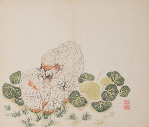 Page de Shi Zhu Zhai - Unbekannt