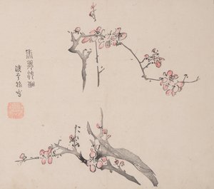 Page de Shi Zhu Zhai