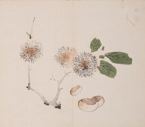 Page de Shi Zhu Zhai - Unbekannt