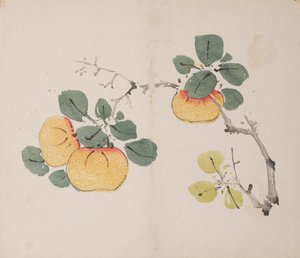 Page de Shi Zhu Zhai - Unbekannt
