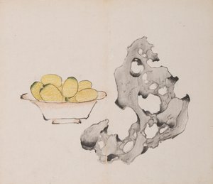 Page de Shi Zhu Zhai