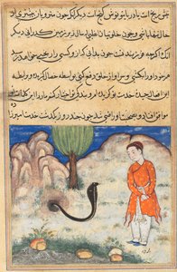 Page des Contes d