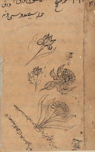 Page des Contes d