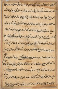 Page du Tuti-nama : page de texte - Unbekannt
