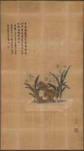 Tissu d