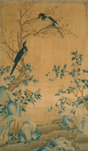 Tissu d