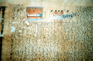 Papyrus d