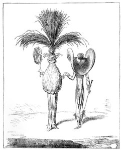 Parasols pour 1795 - Unbekannt