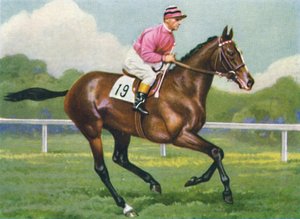 Pasch, Jockey : G. Richards, 1939 - Unbekannt