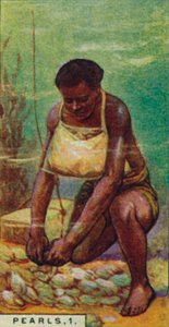 Perles 1. Plongeur natif au travail, Ceylan, 1928
