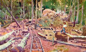 Pénétration de la forêt amazonienne - Chemin de fer Madeira-Mamoré, 1914 - Unbekannt