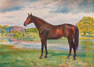 Kaki, vers 1905-1910 - Unbekannt