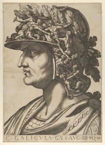 Planche 4 : Caius de profil face à gauche, des 