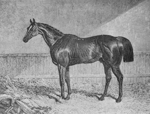 Plénipotentiaire, 1831-1854, 1911 - Unbekannt