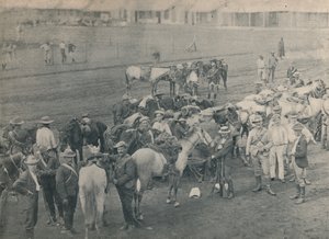 Cheval de Plumer, c1900 - Unbekannt