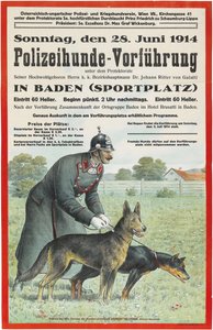 Démonstration de chien policier à Baden, 1914 - Unbekannt
