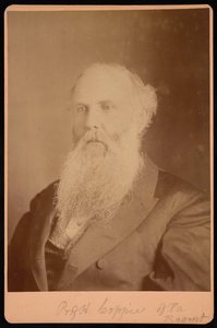 Portrait de Henry Coppee 1821-1895 - Unbekannt