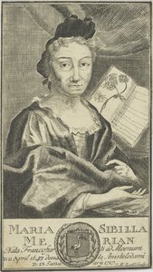 Portrait de Maria Sibylla Merian 1647-1717, 1755 - Unbekannt