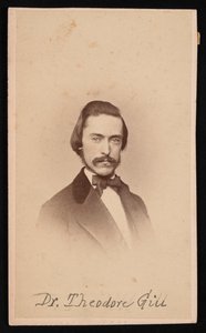 Portrait de Theodore Nicholas Gill - Unbekannt