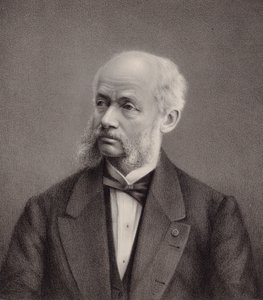 Portrait du violoniste et compositeur Henri Vieuxtemps 1820-1881 - Unbekannt