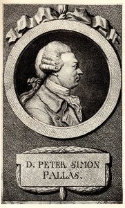 Portrait du zoologiste et botaniste Peter Simon Pallas 1741-1811, début du XIXe siècle - Unbekannt