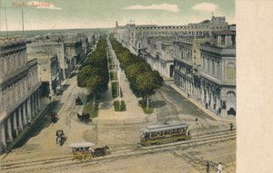 Avenue du Prado, 1907 - Unbekannt