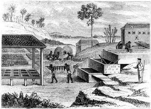 Préparation de l