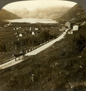 Joli village entouré de montagnes et lac de Røldal, dans l