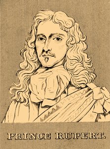 Prince Rupert, 1619-1682, 1830 - Unbekannt