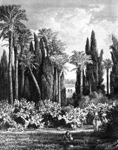 Jardin princier au Caire, Égypte, 1880